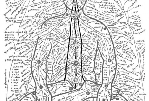 Budowanie odporności w przypadku osłabienia fizycznego i wyczerpania wg Rity Keller